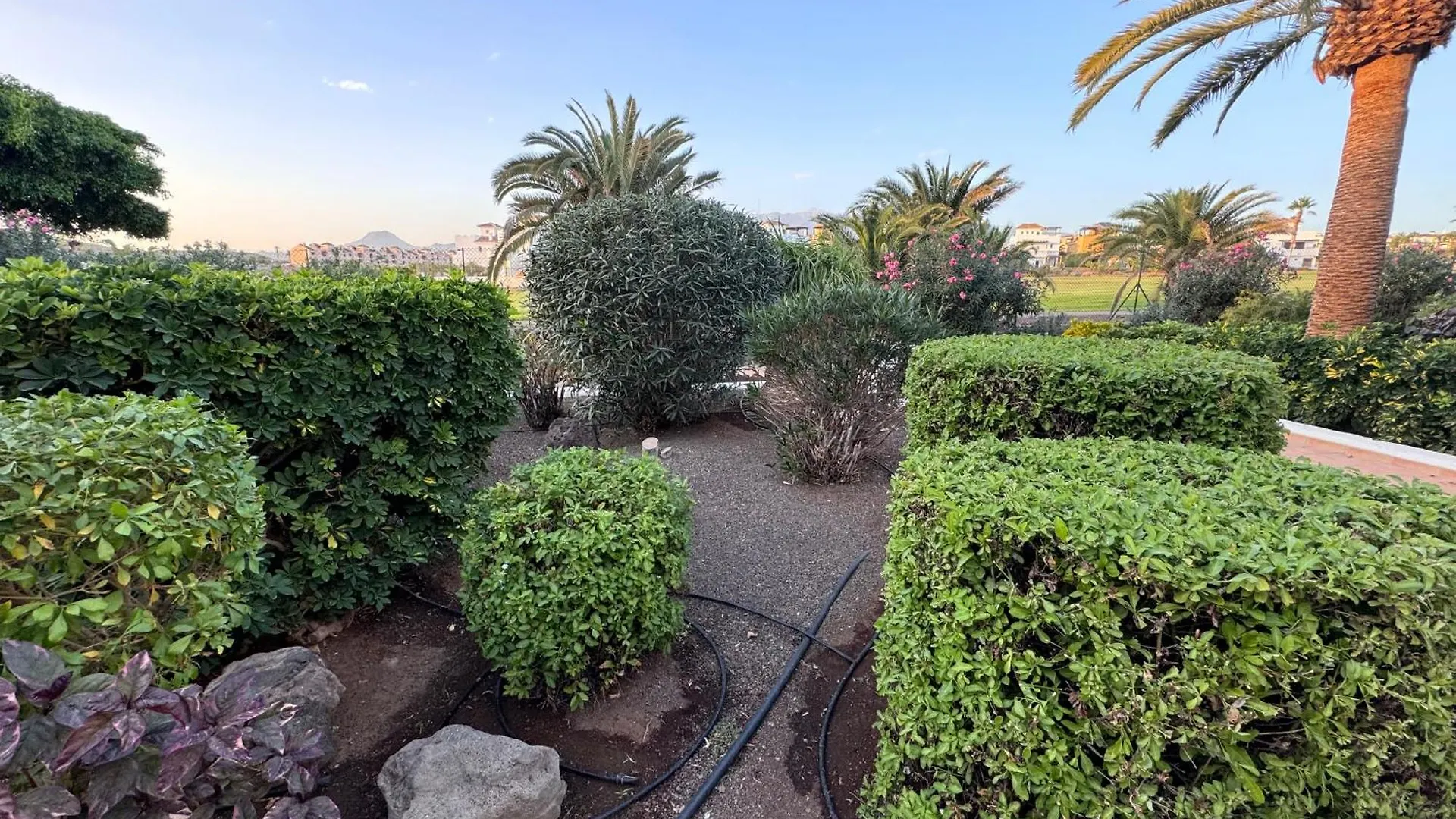 Appartamento Amarilla Golf Scorpio San Miguel de Abona